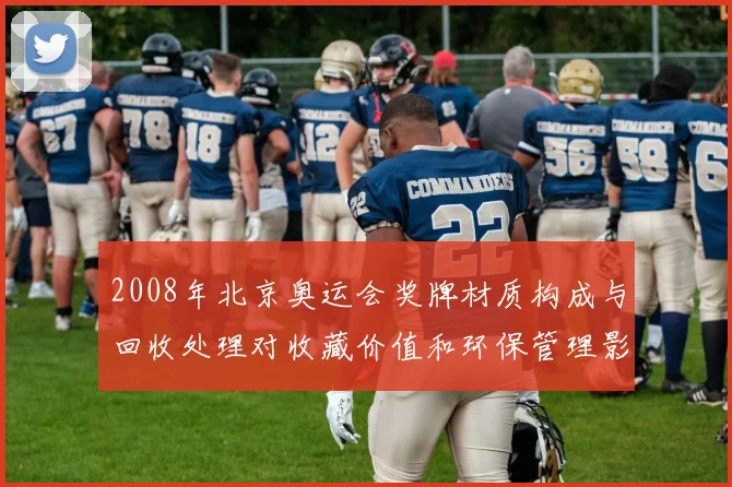 2008年北京奥运会奖牌材质构成与回收处理对收藏价值和环保管理影响