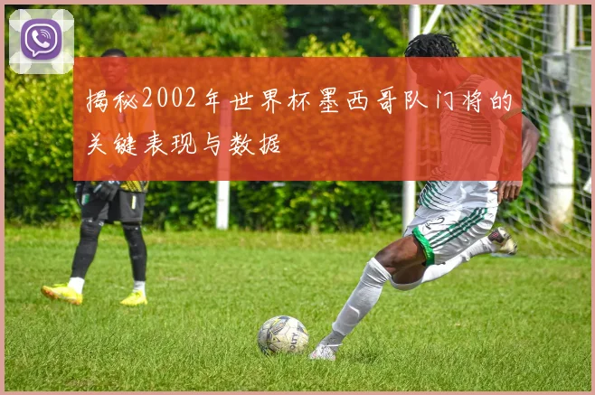 揭秘2002年世界杯墨西哥队门将的关键表现与数据