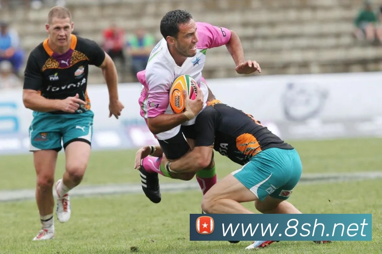 App Interface Preview