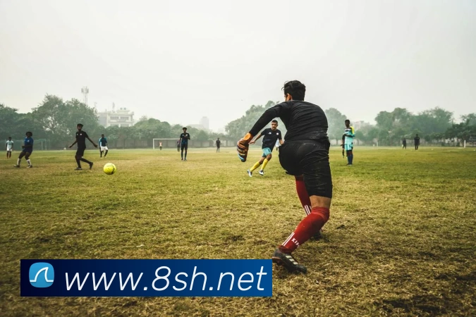 新爱体育app官网APP 封面图